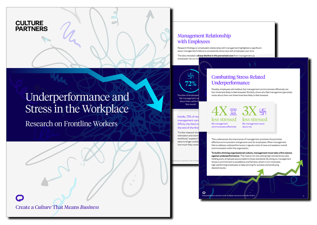 Underperformance and Stress in the Workplace eBook - Culture Partners